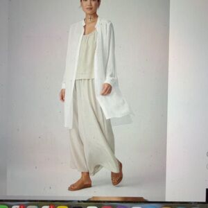 Sheer Sheer Silk Georgette Band Collar Shirt Layering Long Top